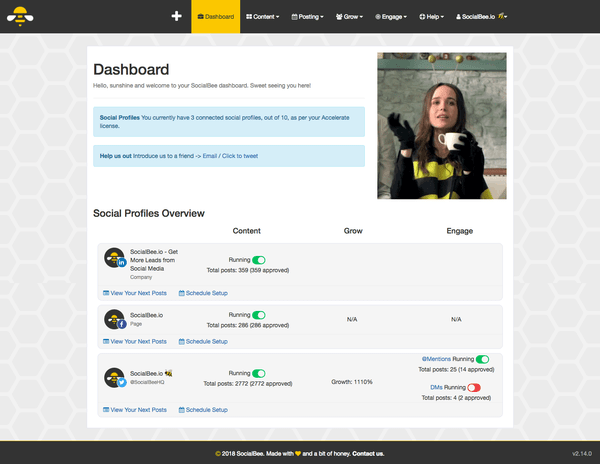 SocialBee Screenshot