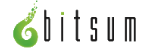 Bitsum Technologies LLC Logo