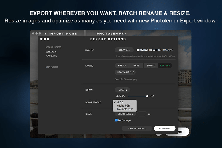 Photolemur 2.3 Phoenix export