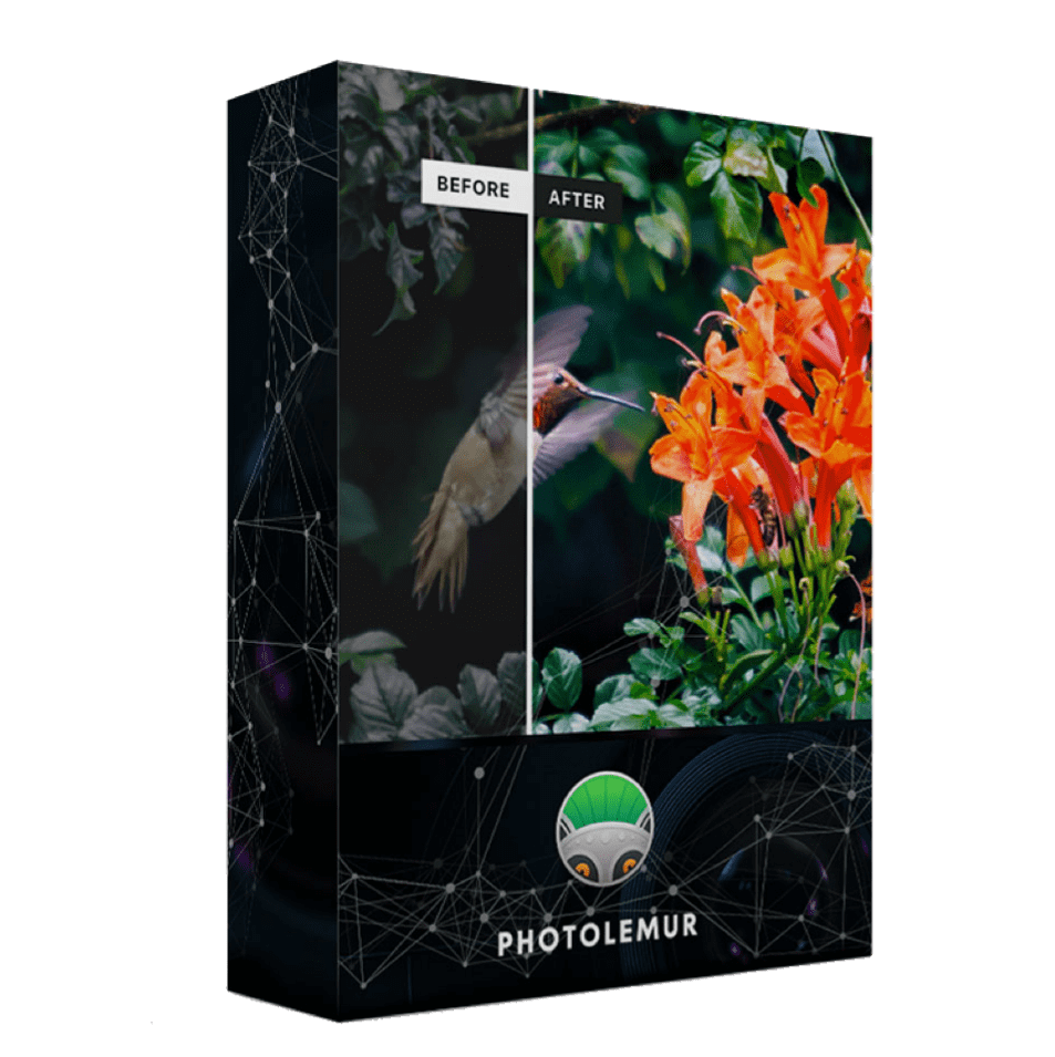 Photolemur 2.3.1 Phoenix review LIcense Download Coupon