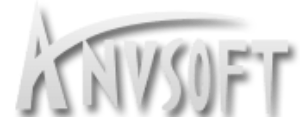 AnvSoft Inc Logo