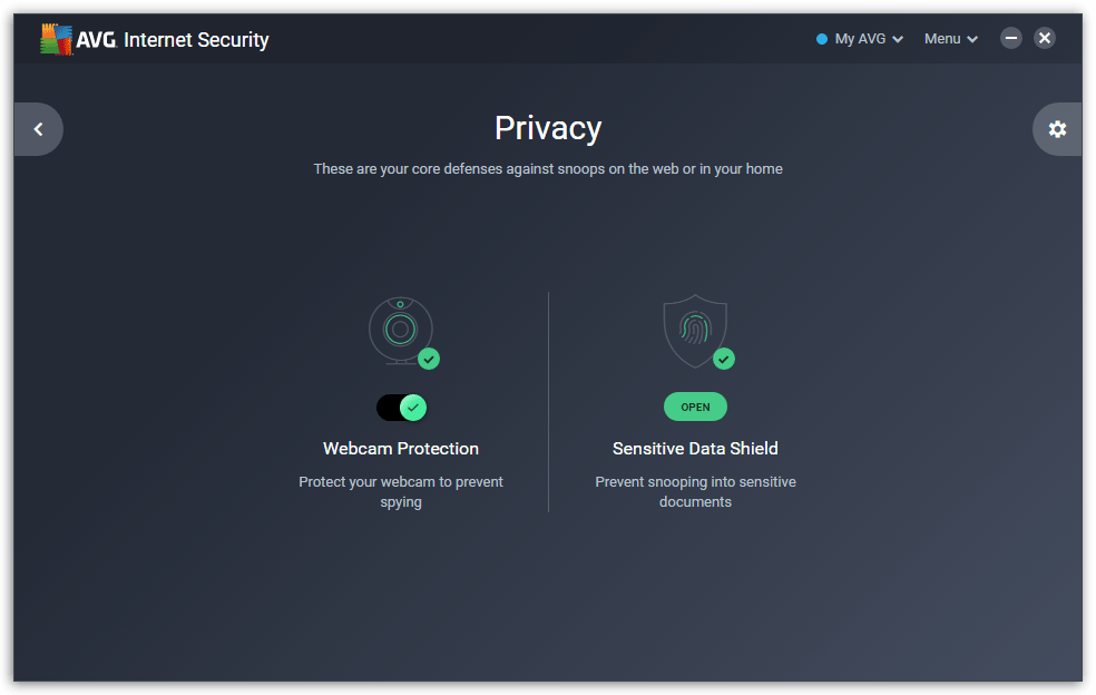 AVG-Internet-Security - Privacy Protection