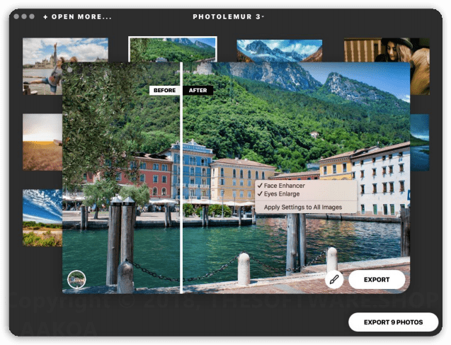 Photolemur 3.0 Batch processing