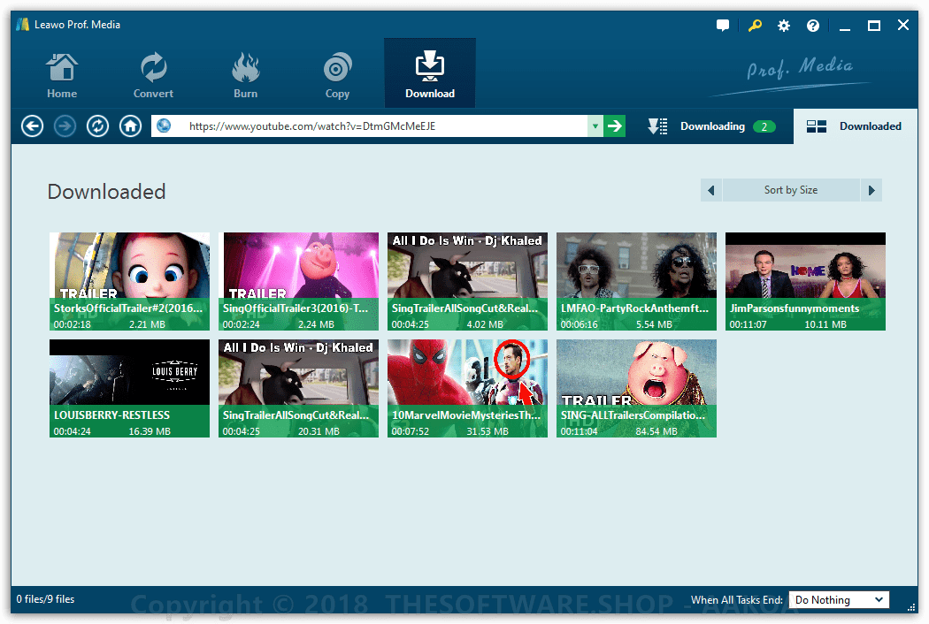 Leawo Youtube Downloader PRO Downloaded