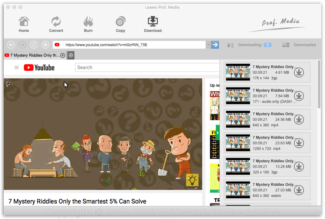 Leawo Youtube Downloader PRO for Mac