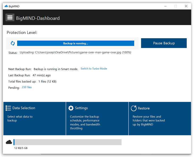 Zoolz BigMIND - Dashboard