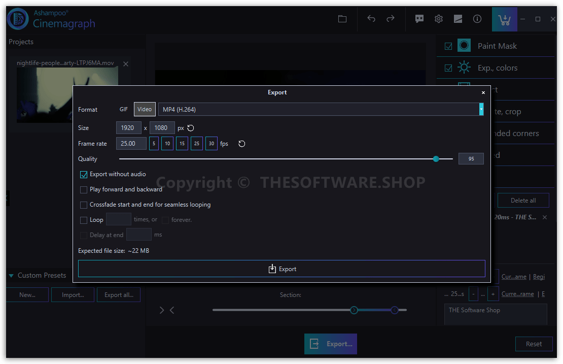 Ashampoo Cinemagraph - Export
