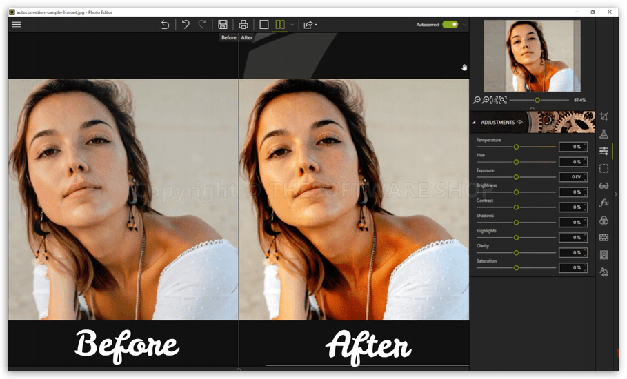 InPixio Photo Clip Professional - Adjustment
