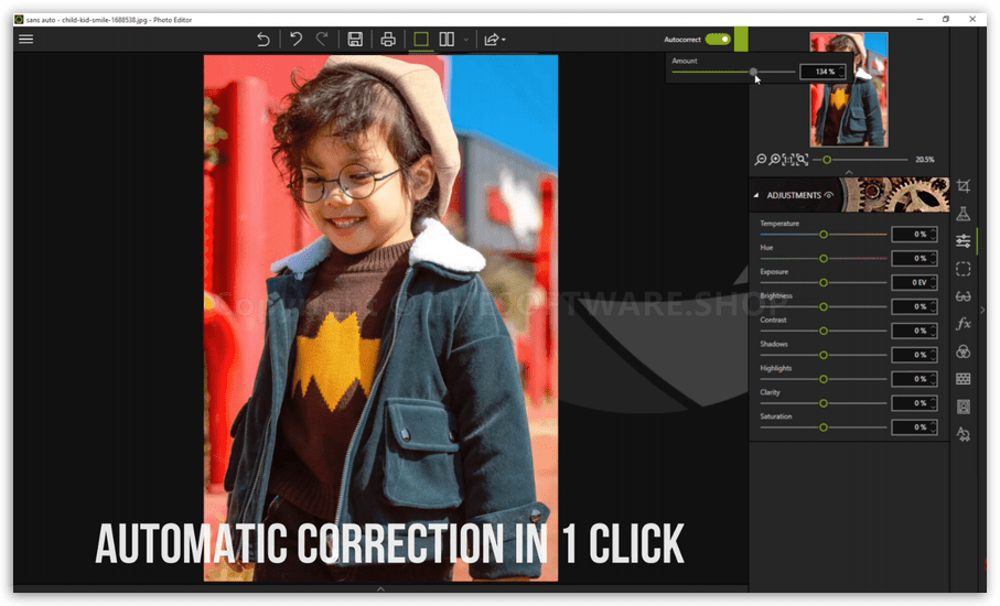 InPixio Photo Clip Professional - Automatic Correction