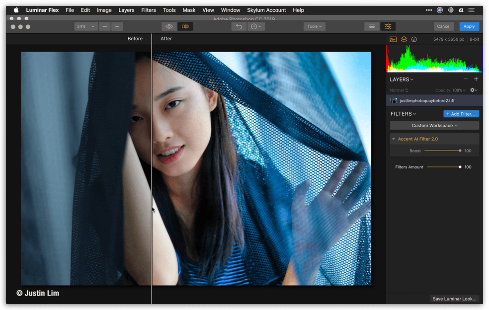 Skylum Luminar Flex Plugin - Accent
