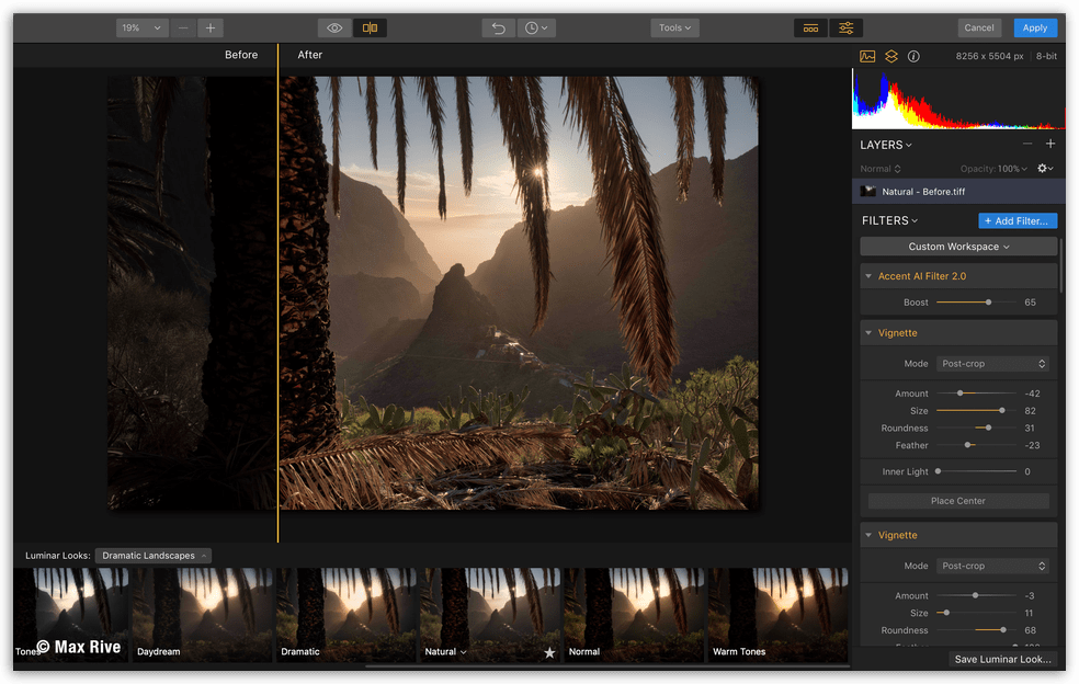 Skylum Luminar Flex Plugin - Looks