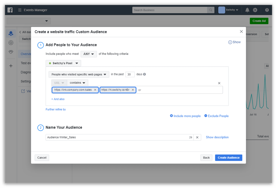 Switchy - Custom Audience
