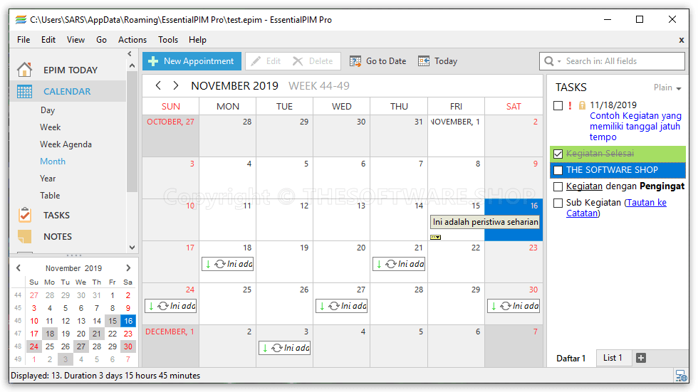 EssentialPIM Pro - Calendar