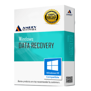 Amrev Data Recovery Software - Single License</p></img>
<p>