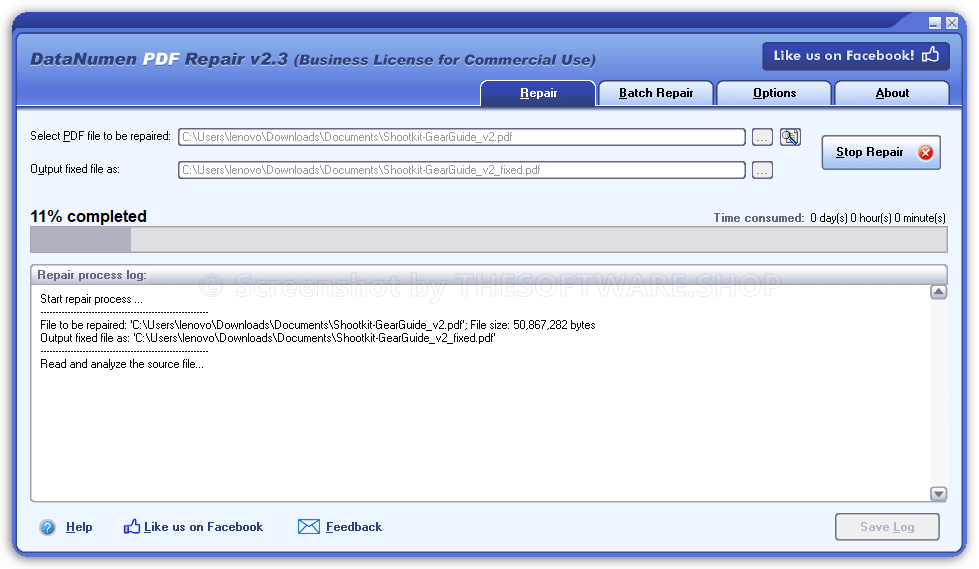 DataNumen PDF Repair - Process
