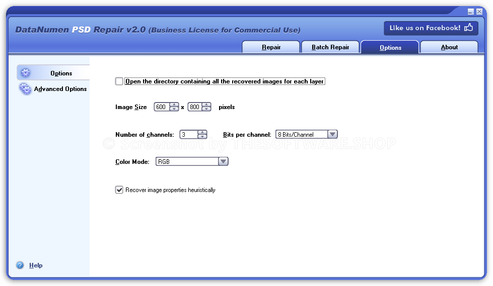 DataNumen PSD Repair - Options