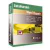 DataNumen Word Repair Review Download Discount Coupon