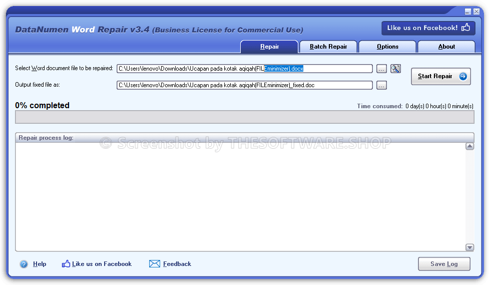 DataNumen Word Repair Screenshot