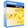 Datanumen ZIP Repair Review Download Discount Coupon Giveaway