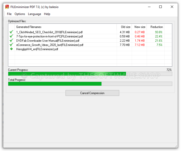 FILEminimizer PDF Progress