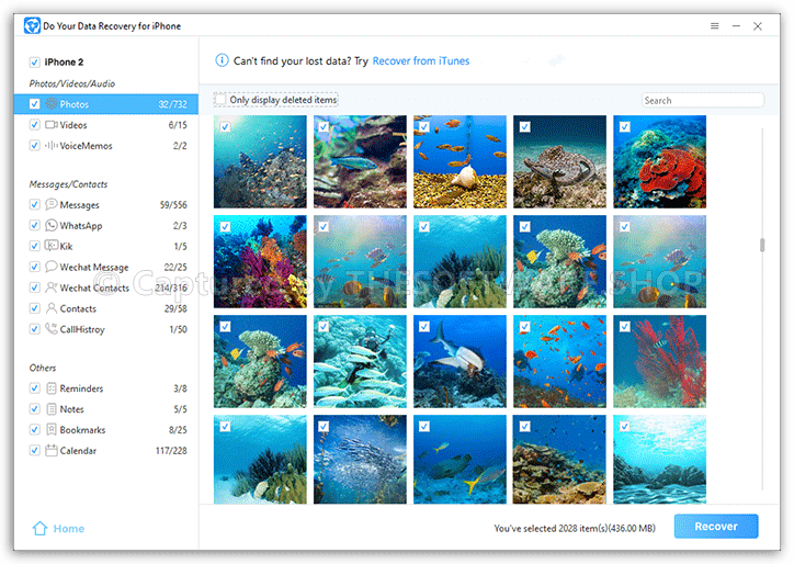 Do Your Data Recovery for iPhone Preview Lost Photo