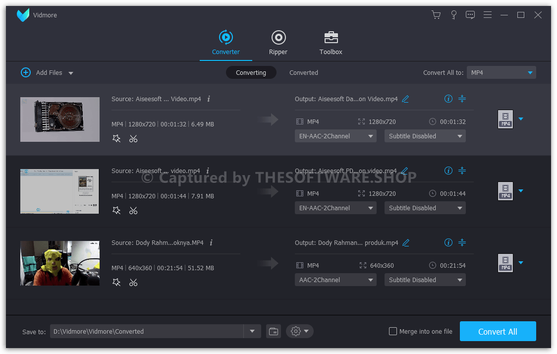 Vidmore Video Converter Screeshot