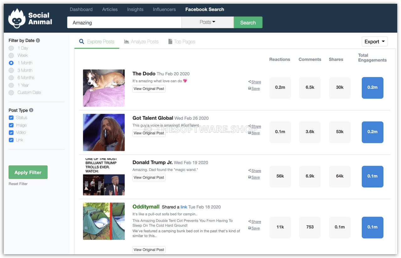 Social Animal Facebook Search