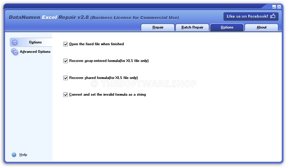 DataNumen Excel Repair - Options