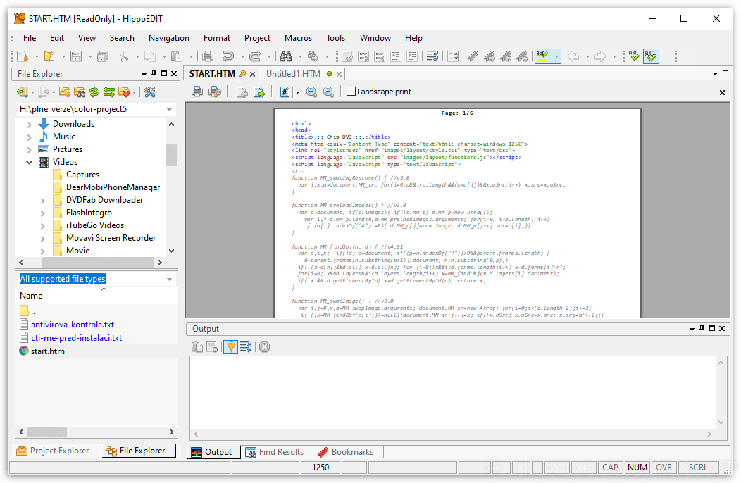 HippoEDIT - Print Preview
