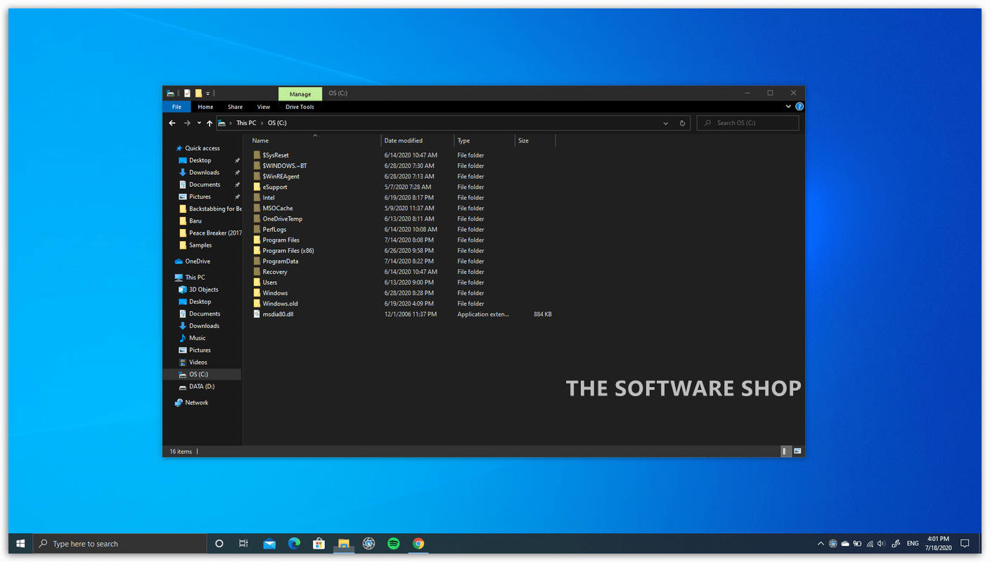 Windows 10 Professional File Explorer