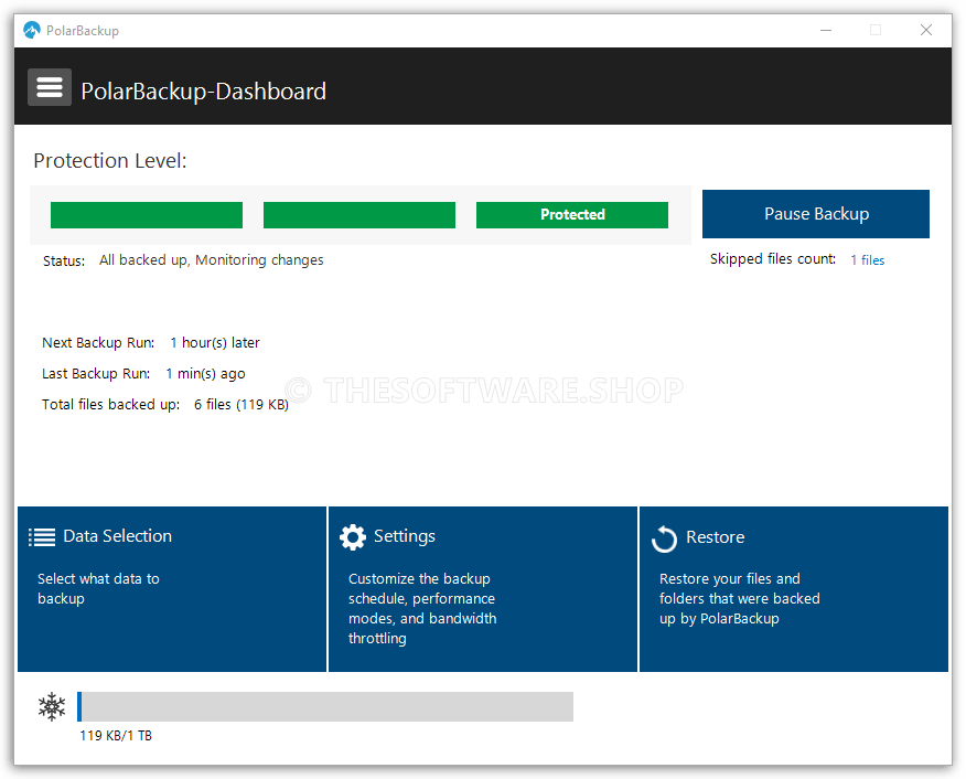 PolarBackup Software Dashboard