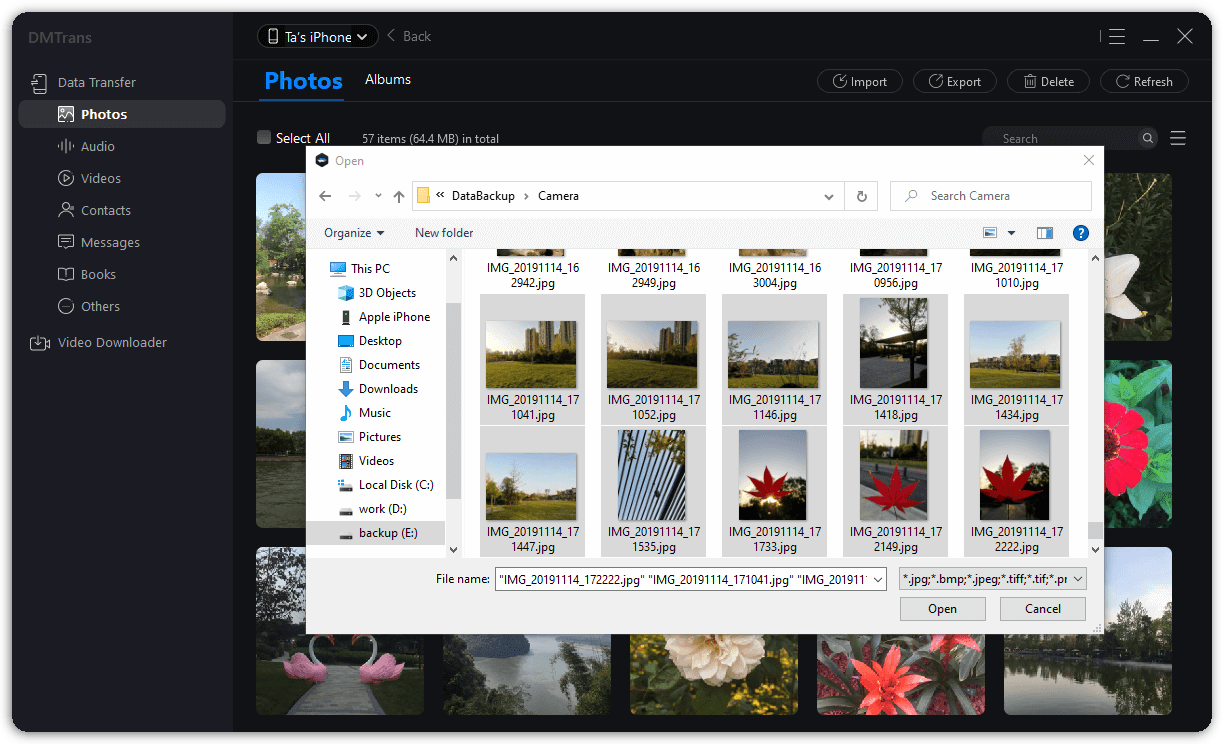 Import Screenshot