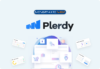 Plerdy Review Discount Coupon Sale
