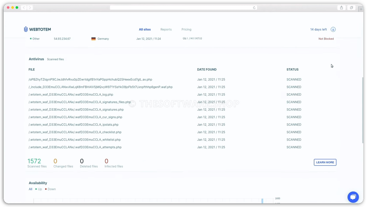 Antivirus Scanned Files