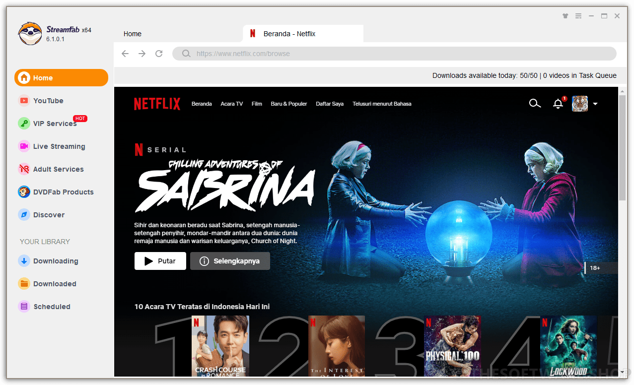 StreamFab Netflix Downloader 6 Homepage