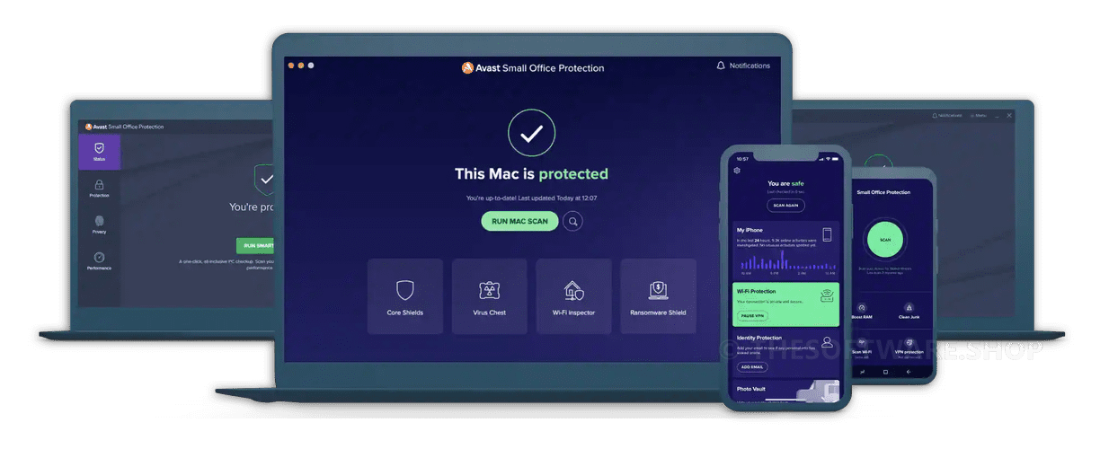 Avast Small Office Protection Screenshot