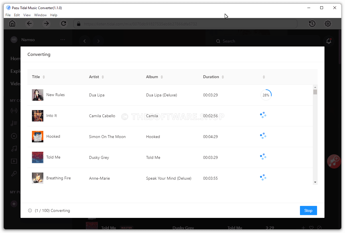 Pazu Tidal Music Converter - Converting