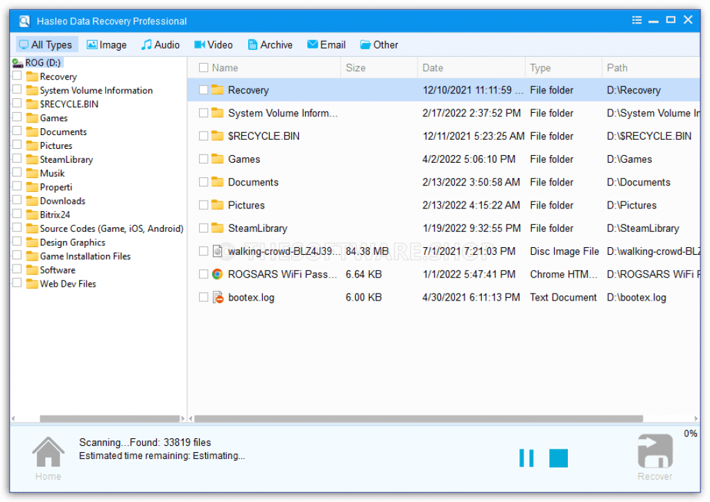 Hasleo Data Recovery Professional - Scanning & Result