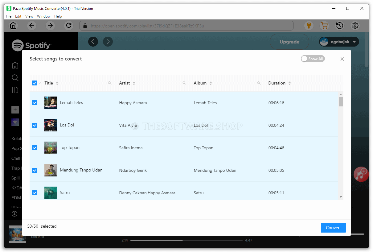Pazu Spotify Music Converter Screenshot
