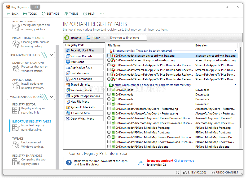 Reg Organizer 9 Pro Screenshot - Important Registry Parts