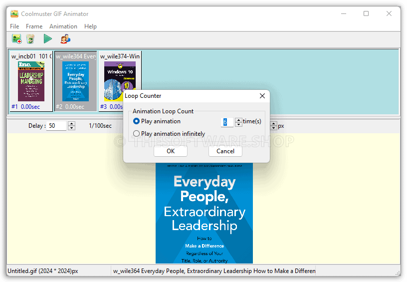 Coolmuster GIF Animator Loop Counter