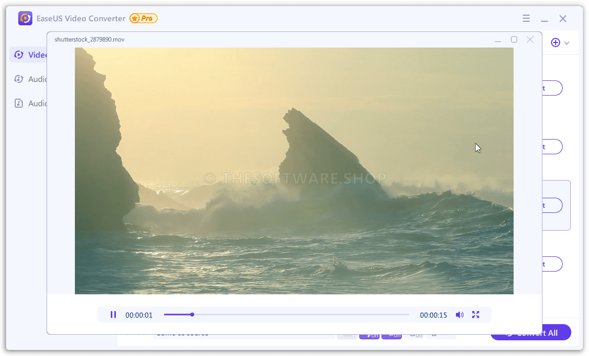 EaseUS Video Converter Pro Screenshot - Built-in Player