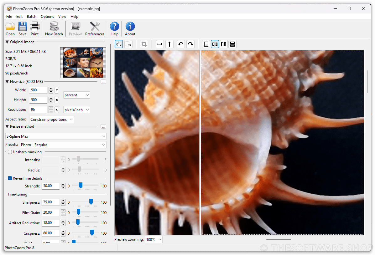 BenVista PhotoZoom Pro 8 Single Proccess