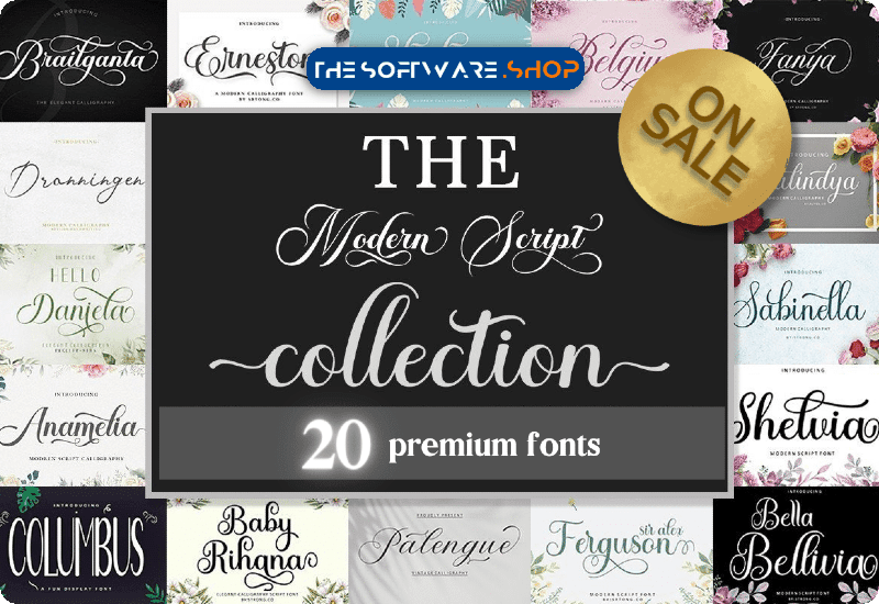 The Modern Script Font Bundle Discount Sale Creative Fabrica