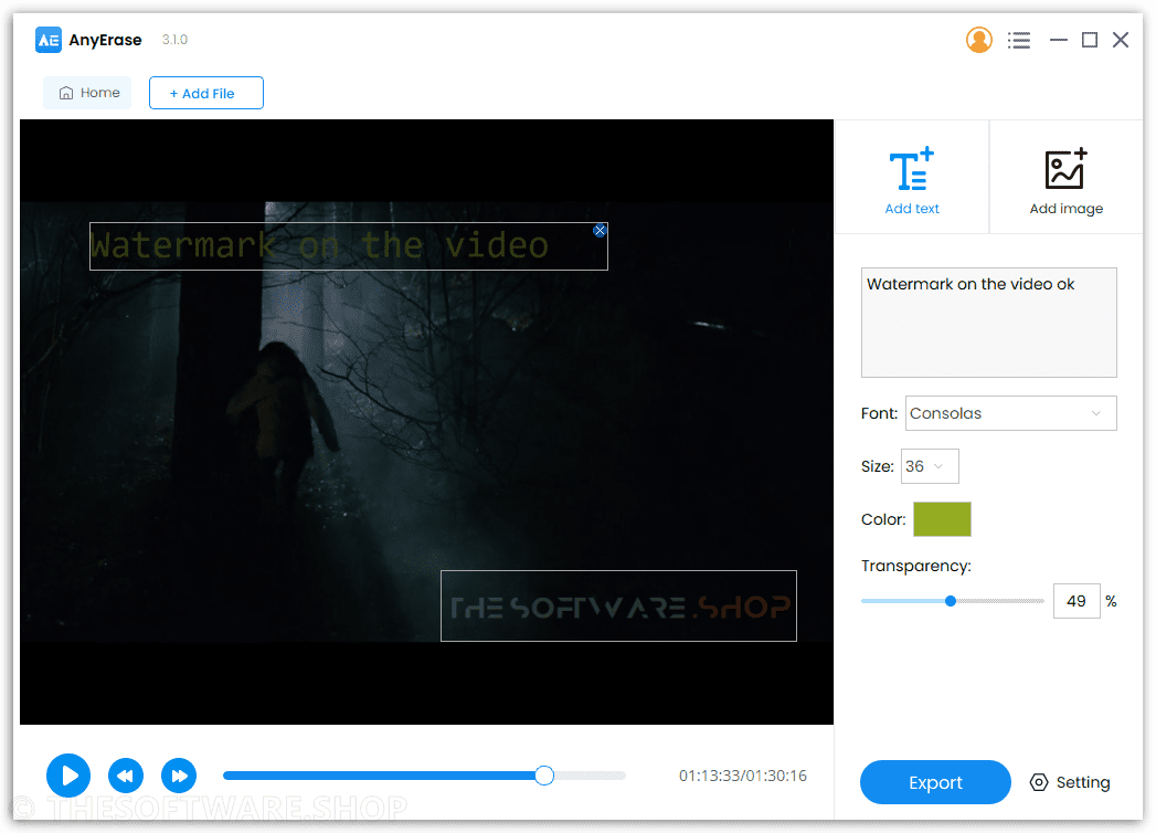 AnyErase Pro - Add Watermark to Video