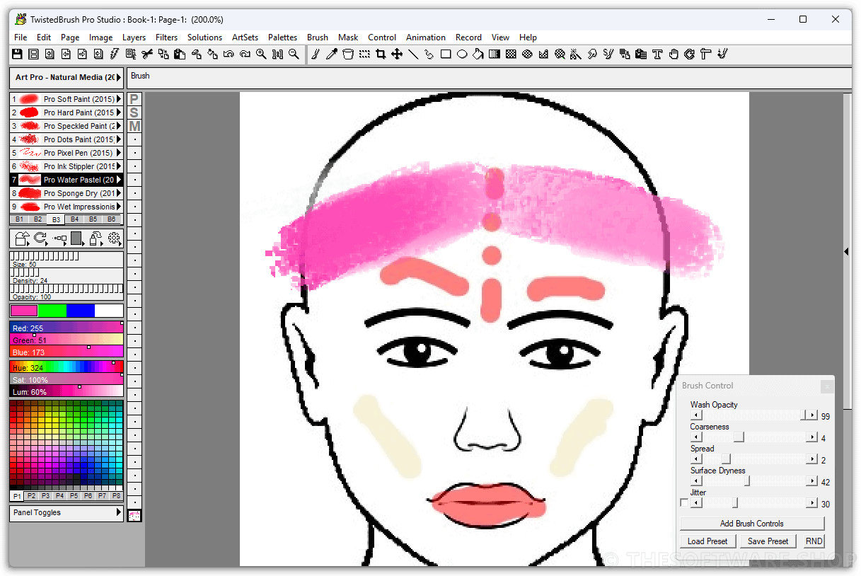 TwistedBrush Pro Studio Screenshot