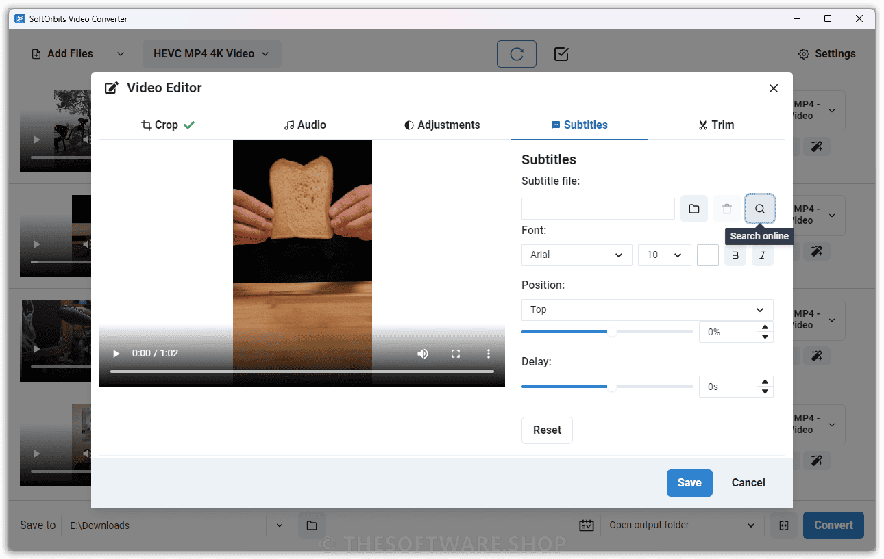 SoftOrbits Video Converter Video Editor Subtitle