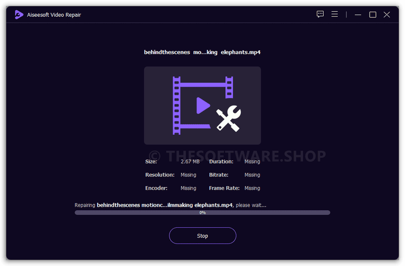 Aiseesoft Video Repair - Processing