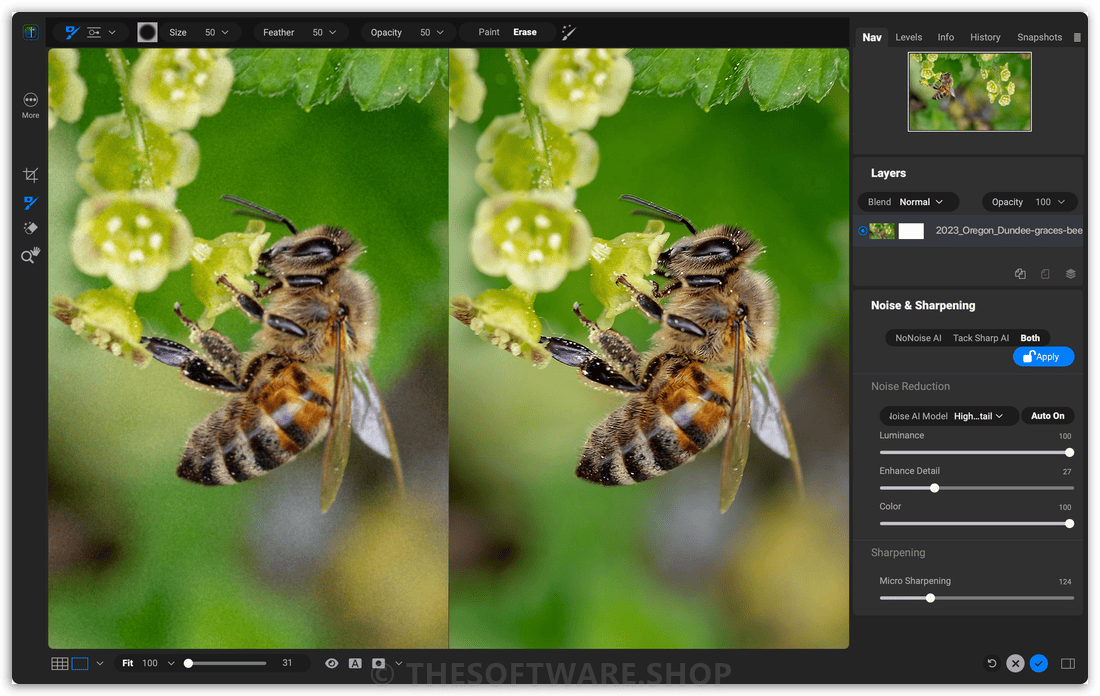 ON! NoNoise AI 2024 Screenshot - Both Noise Sharpening