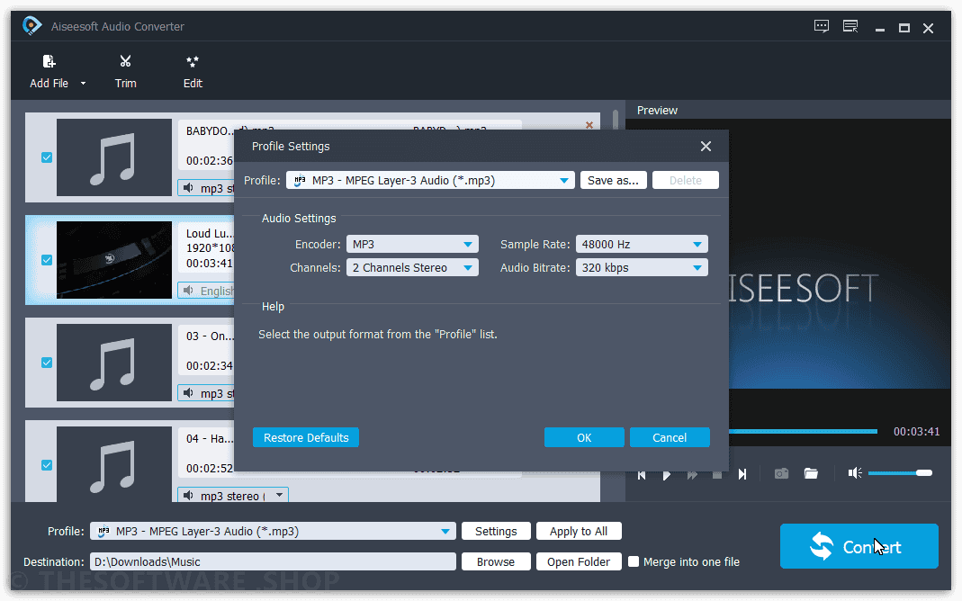 Aiseesoft Audio Converter Screenshot - Profile Edit